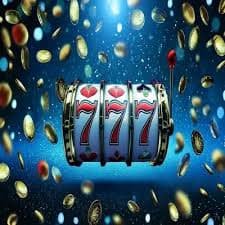 bwin6